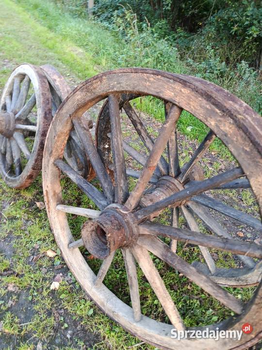 Koła wozu konnego Dulcza Wielka