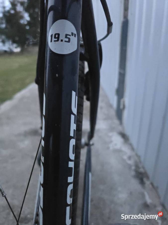 Rower Górski COYOTE Univers Duża Rama 195 Tonowo