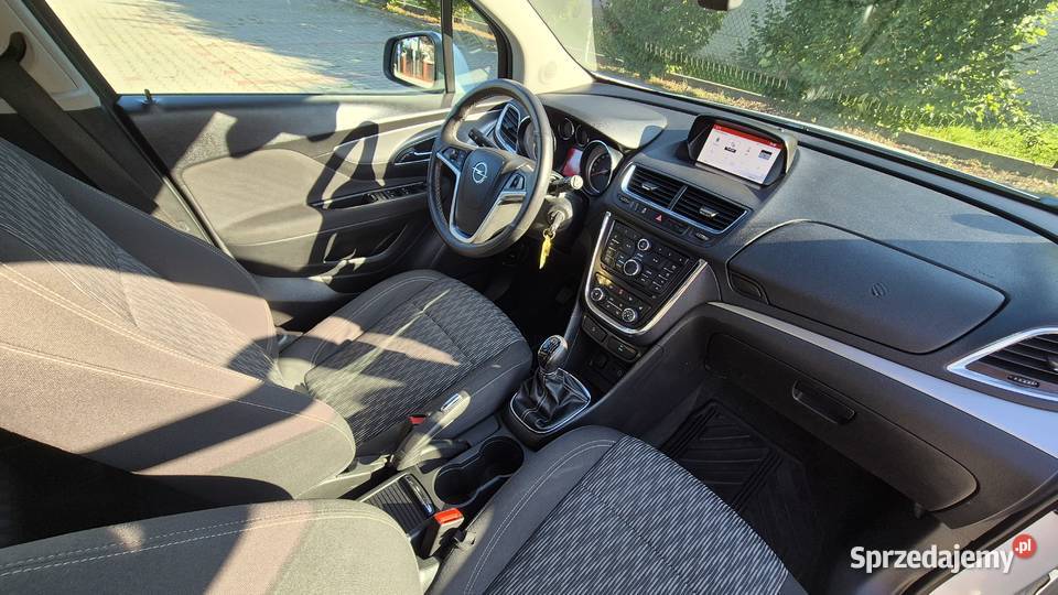 MOKKA 17 131 OPŁATACH ZADBANA Rzeszów
