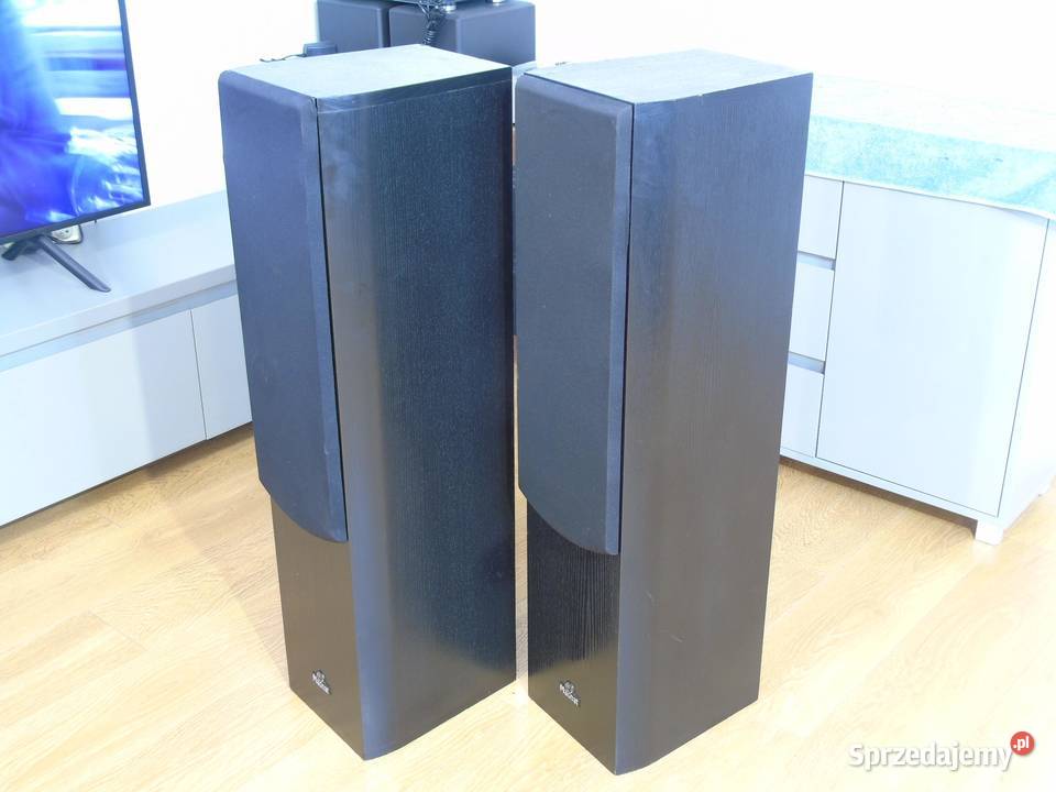 Kolumny Magnat Magnum 05 sprawne 2 x 320 wat podkarpackie Jasło sprzedam