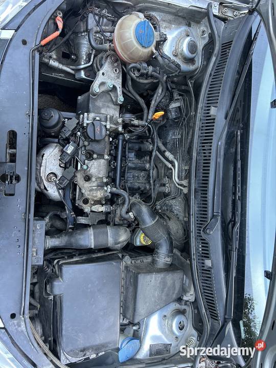 Volkswagen Polo 9N Lift 228000km Samochody osobowe dolnośląskie Świebodzice