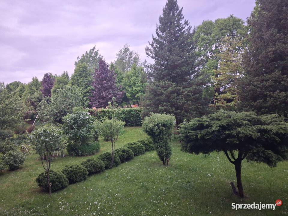 Sprzedam mieszkanie M4 piwnica Sprzedaż Żory