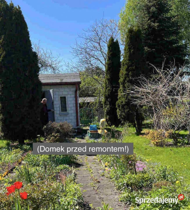 Działka rekreacyjna z domkiem w ROD Kaczeniec Ząbki