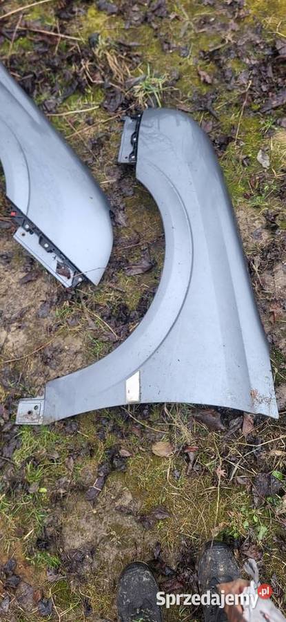 Błotnik Lewy Prawy Opel Vectra C Przed FL Różne