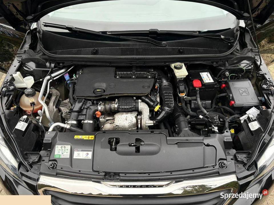 Peugeot 308 BlueHDi FAP 100 StopStart Access 99 1560cm3 Krotoszyn