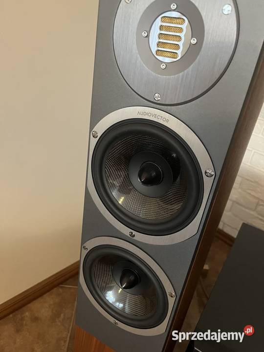 Kolumny podłogowe Audiovector R3 Arrete kujawsko-pomorskie