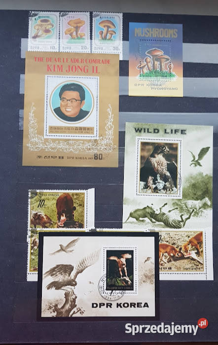 Znaczki pocztowe różne 2 Filatelistyka Zielona Góra