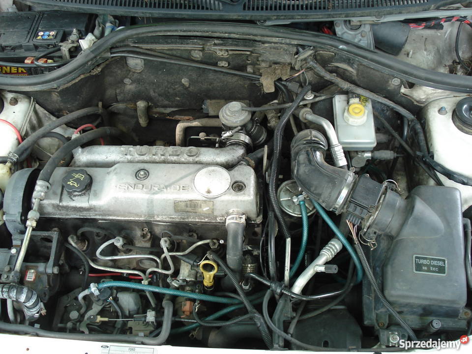 Ford Escort 18 Turbo Diesel 2000 OC Ważne do garażowany Escort Gorzów Wielkopolski