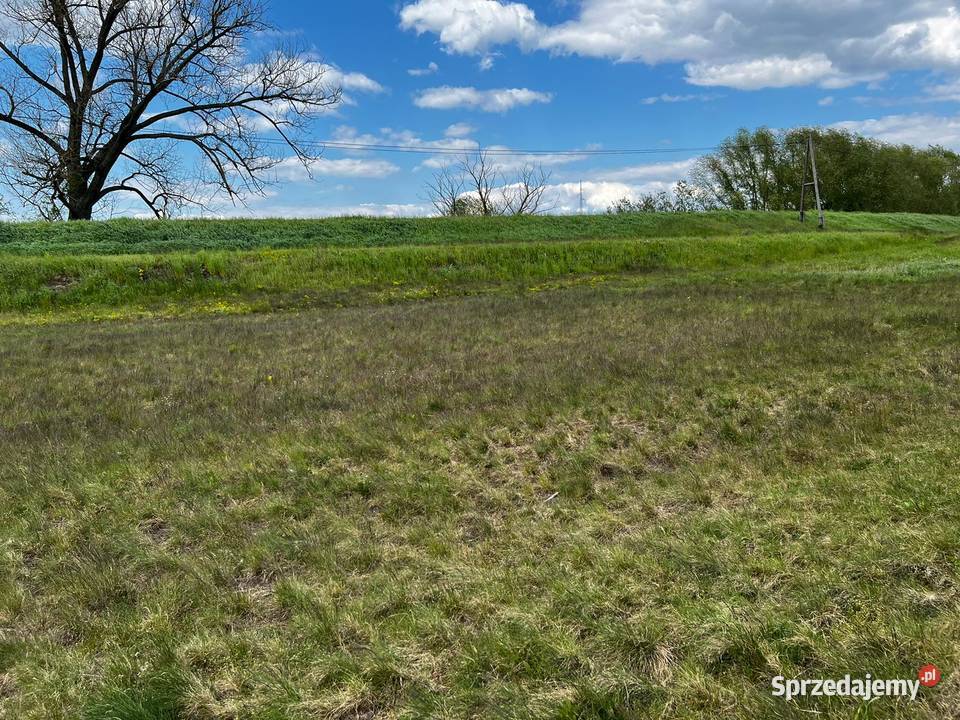 Działka z linią brzegową rzeki Sprzedaż Kołczyn sprzedam