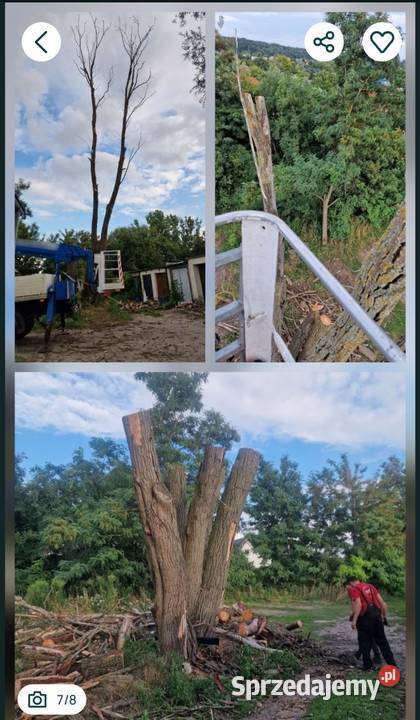 Koszenie trawy karczowanie zarośli wycinka drzew Gorzów Wielkopolski