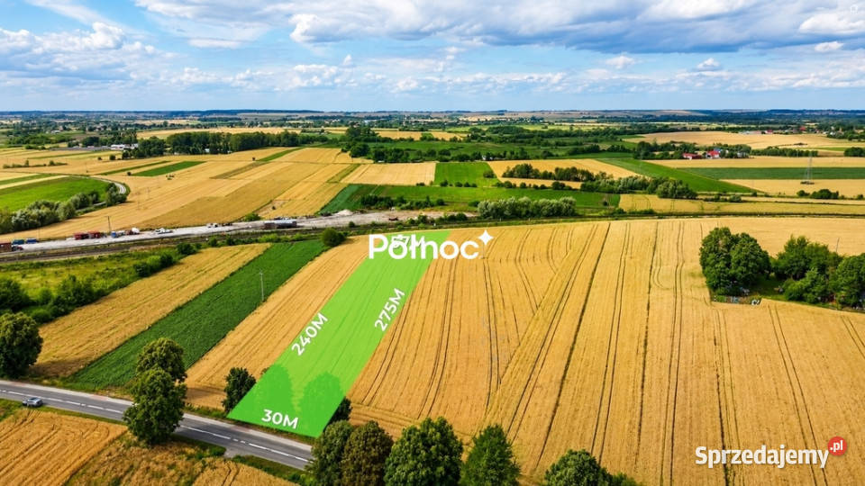 1 ha pola w granicach miasta Hrubieszów