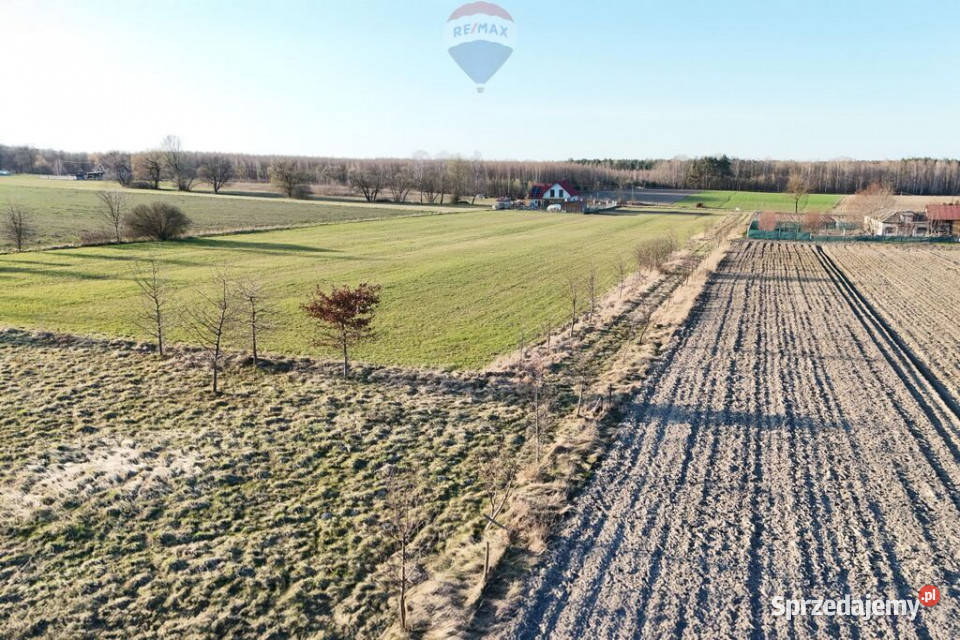 Ponad hektar przestrzeni 40 minut Warszawy Korabiewice sprzedam