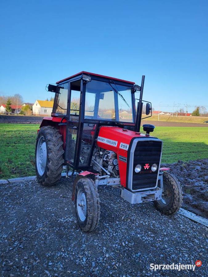 Mf 255 ferguson 255 Trzciana