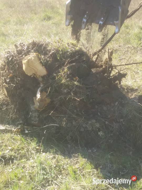 czyszczenie terenu przygotowanie pod budowę Zduńska Wola