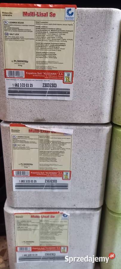 Sprzedam Lizawkę Czerwoną Dąbrówno