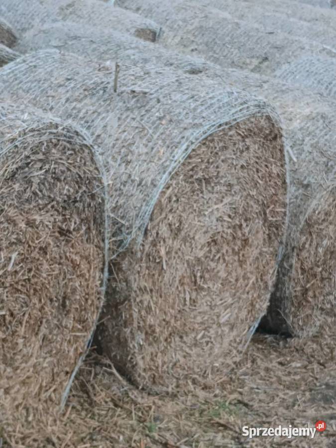 Słoma na sprzedaż kujawsko-pomorskie Pakość