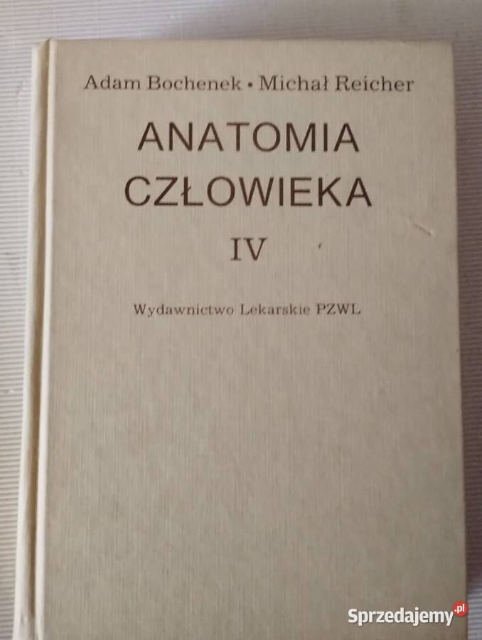 ANATOMIA CZŁOWIEKA tom 1 5 Olkusz sprzedam