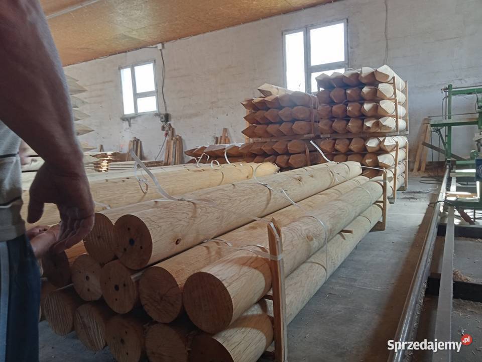 Palisada debowa Pozostałe