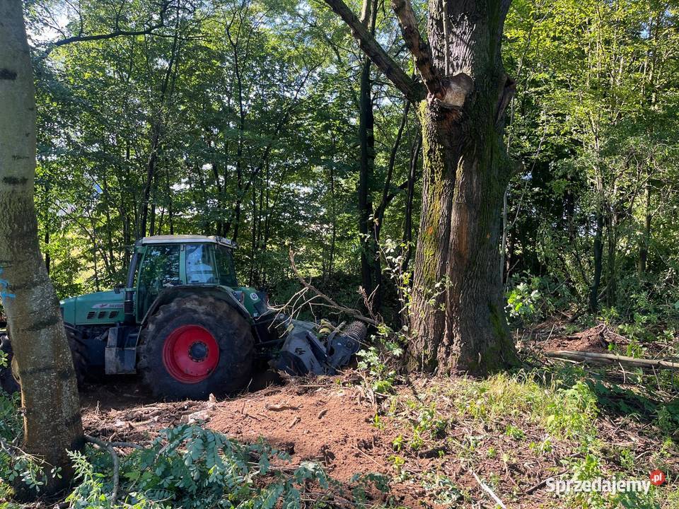 Mulczowanie wgłębne i powierzchniowe Czyszczenie Olkusz ogród
