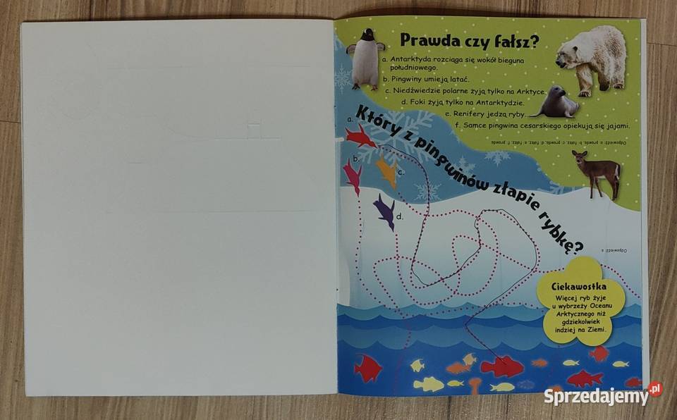 Dzieci zwierząt Zestaw książek z naklejkami i Rok wydania 2011 Warszawa