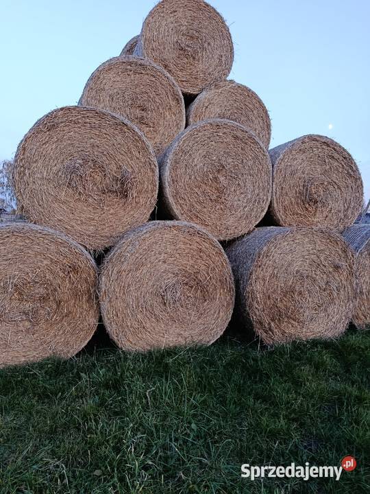 słoma bele 150 Radzyń Podlaski