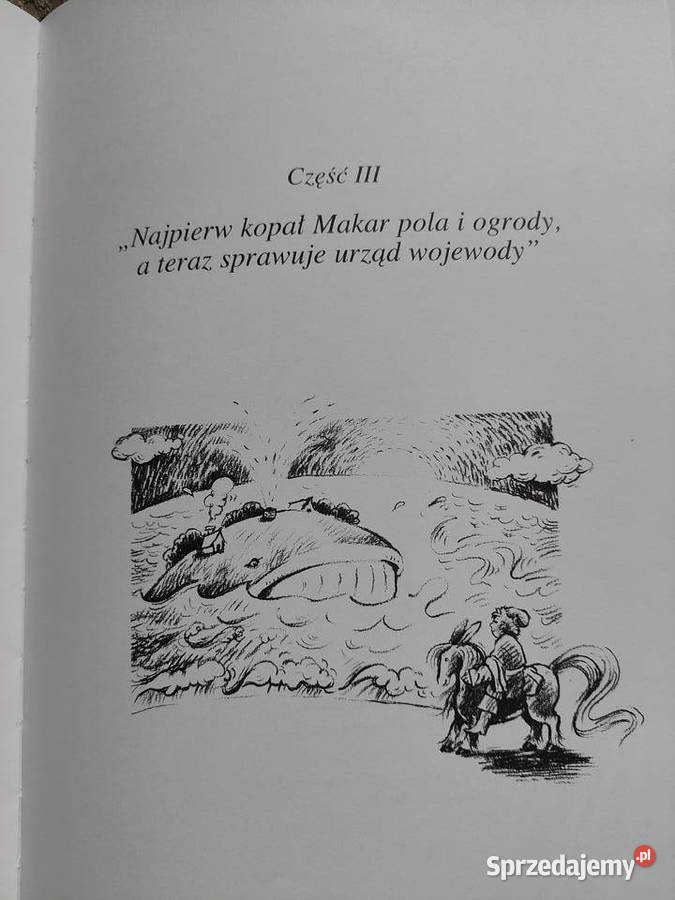 Konik Garbusek Piotr Jerszow twarda Kraków