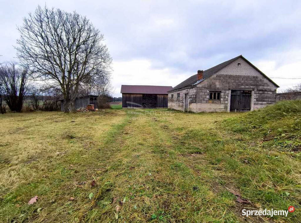 Tanie i ciche siedlisko na wsi z potencjałem mazowieckie Nowe Hołowczyce