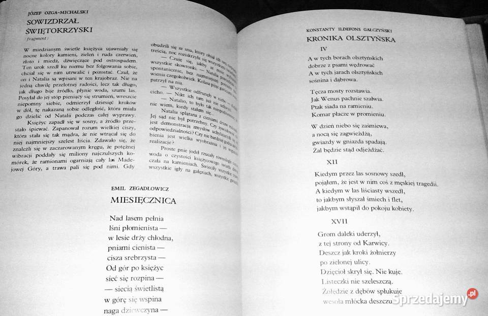 W głąb lasu Las w polskiej literaturze i sztuce Chełm sprzedam