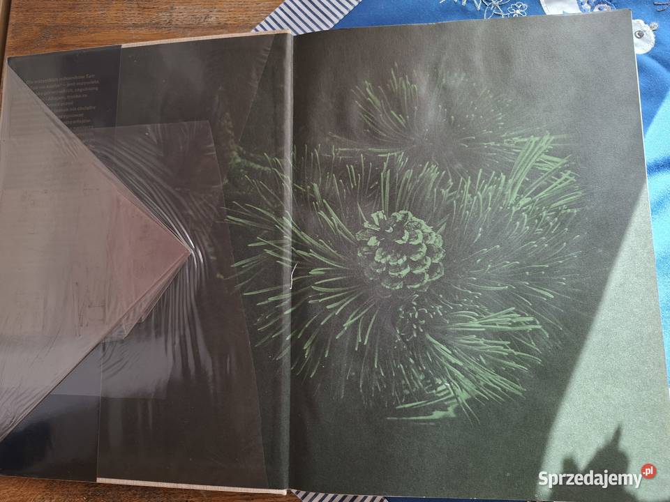 Świat Tatr Miro Gregor i zespół Poradniki, albumy i reportaże sprzedam