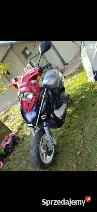 Koyot 4t lubelskie Chełm