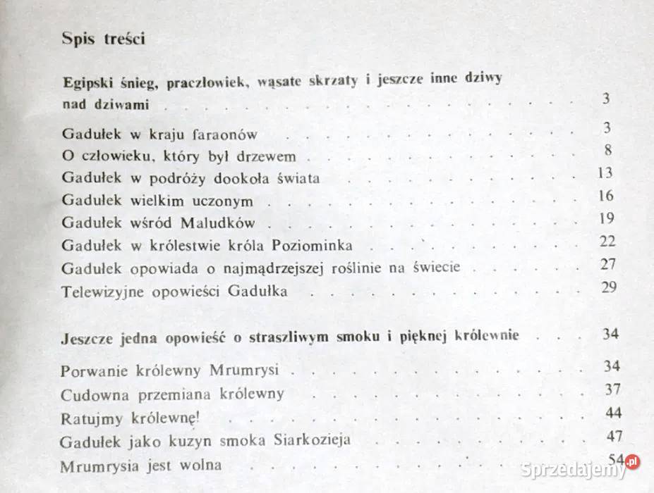 Gdzie jest Gadułek Waldemar Żelazny Chełm