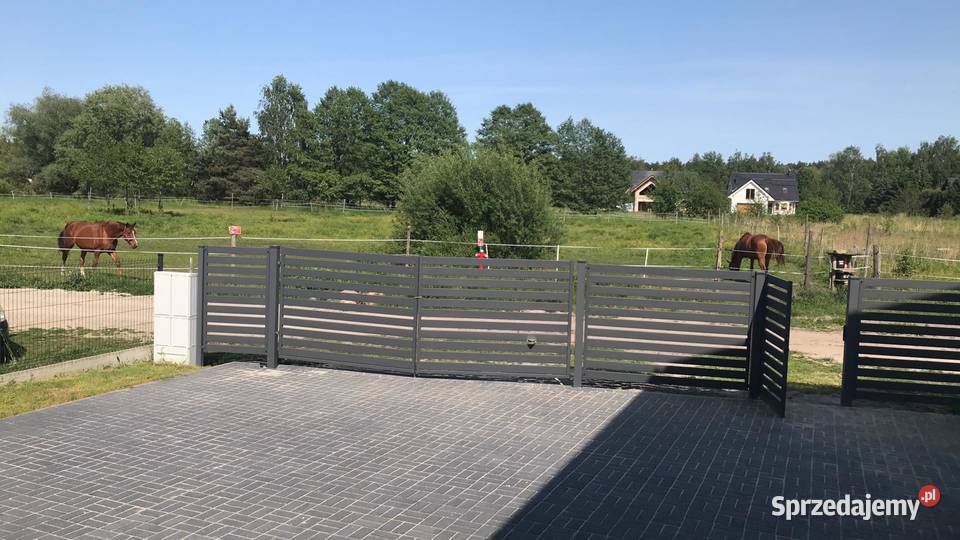 BLIŹNIAK W BORÓWCU POD KÓRNIKIEM wielkopolskie Borówiec