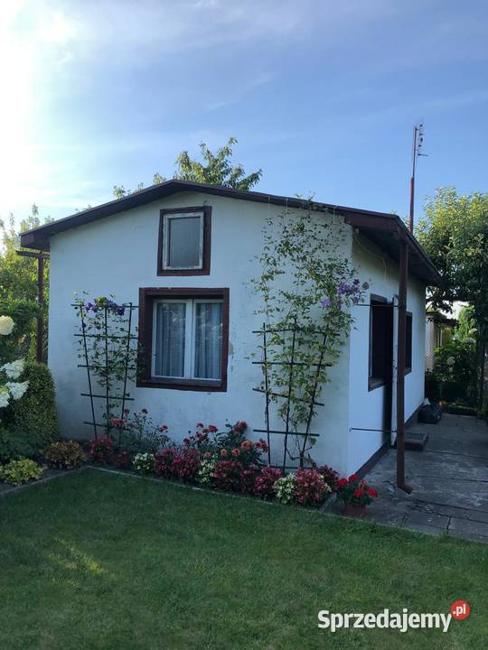 Ogrodek Dzialkowy ROD Jutrzenka Gliwice sprzedam