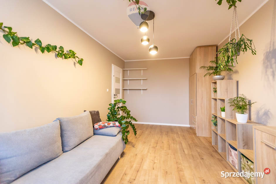 Do wynajęcia 3 pokoje w centrum Zielonej Góry lubuskie Zielona Góra