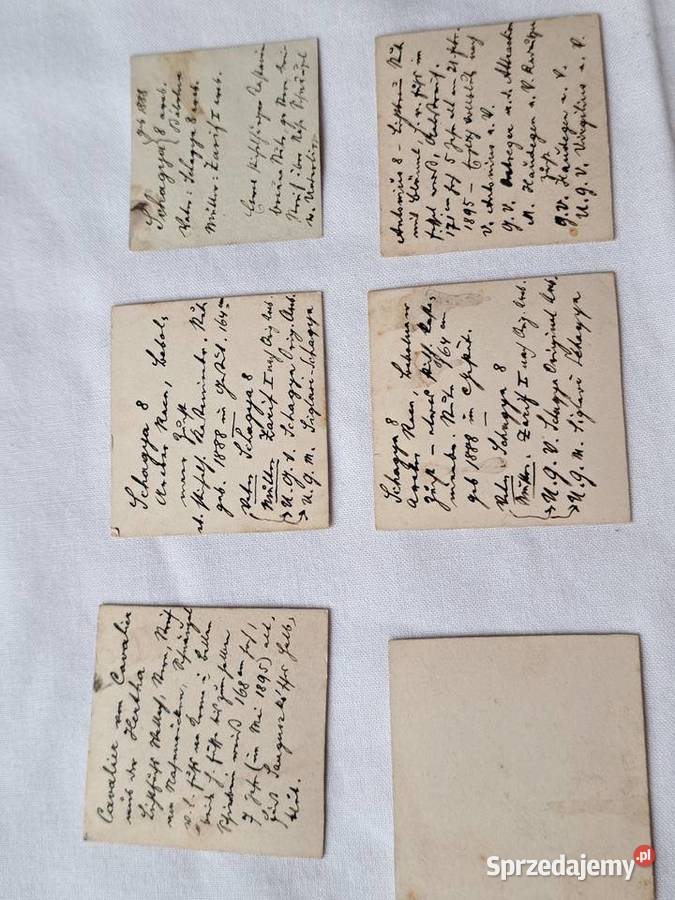 Zdjęcia stare 1893r konie stadnina wojsko Brzesko sprzedam