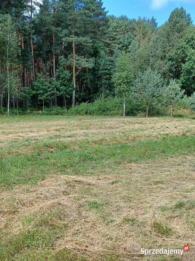 Działka z WZ mieszkaniowej światło Kąty-Miąski sprzedam