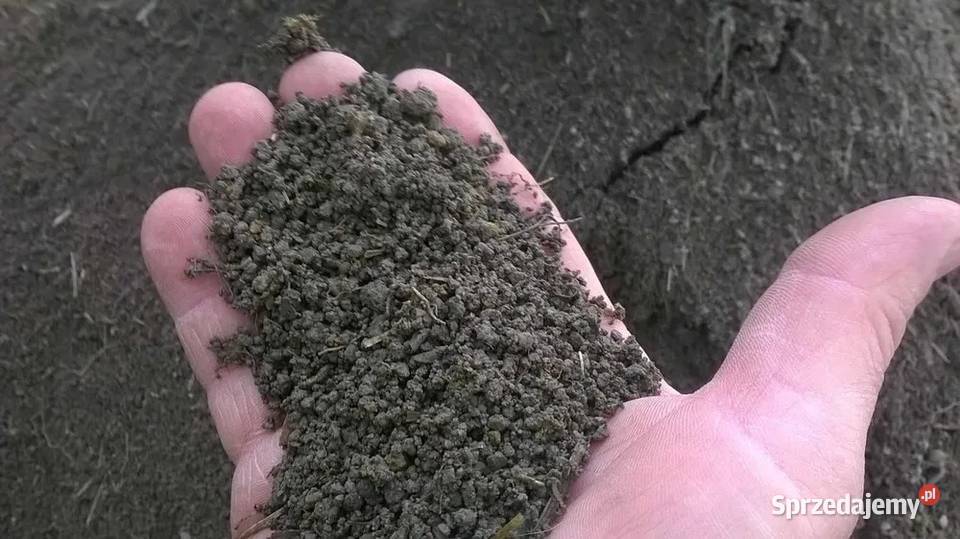 Czarnoziem ziemia ogrodowa humus transport Zakroczym