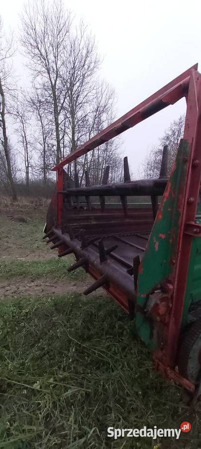 Rozrzutnik obornika czarno białostocka Izbica Kujawska