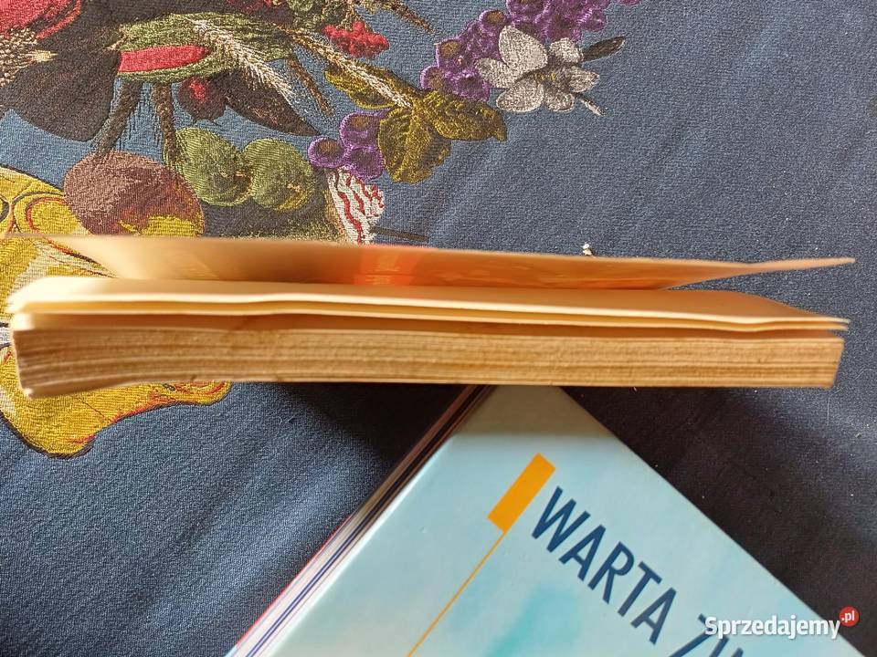 Pod lupą Newsweek Kryptonim Nowy Marek