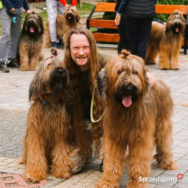 Psi Behawiorysta KotówZoopsycholog Warszawa