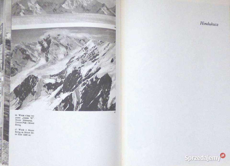 G SaysseTobiczyk W górach wysokich Kompendium Warszawa