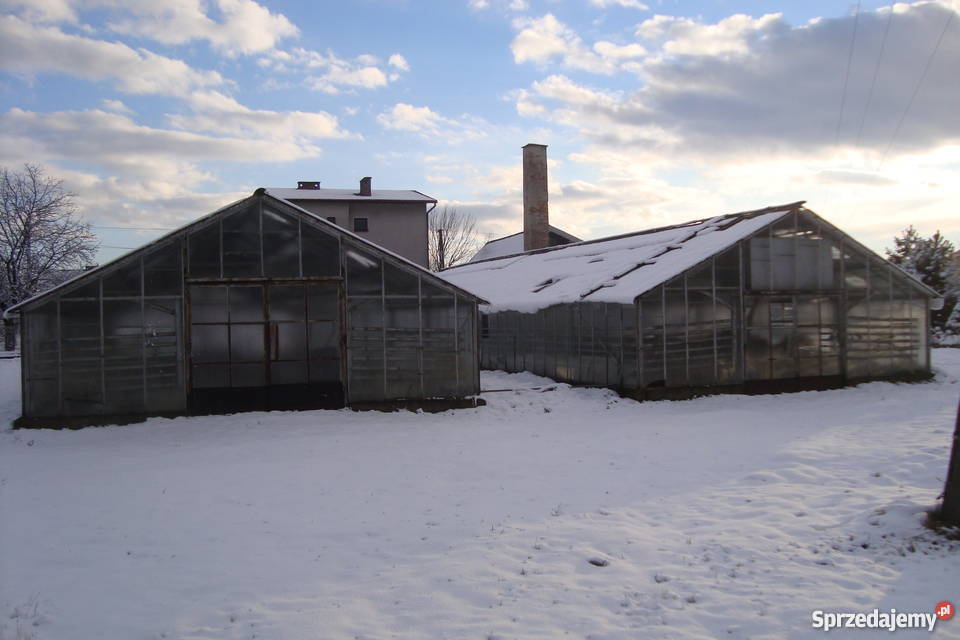 Szklarnie do rozbiórki 330 m2