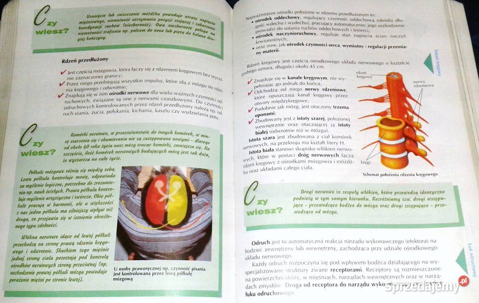 Biologia gimnazjum Cz 2 W Gołda M Kłyś J Wardas Chełm