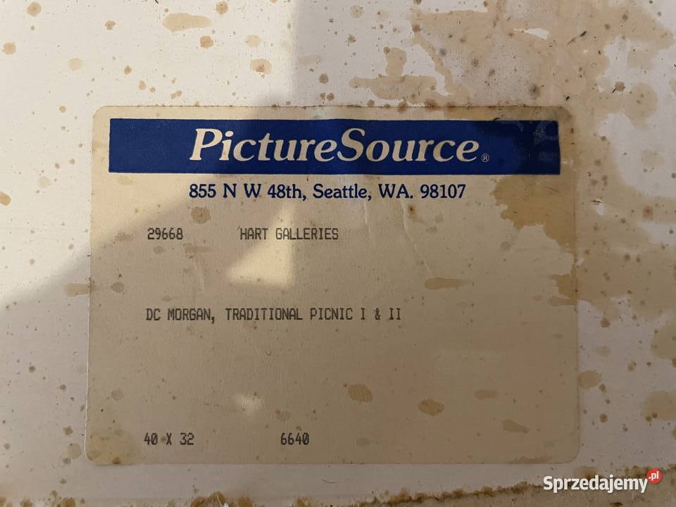 Obraz DC MORGAN Tradycyjny Piknik Obrazki i obrazy Wiązowna