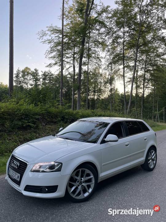 Audi A3 8P Quattro Sportback 20TDI CR 200 nieuszkodzony