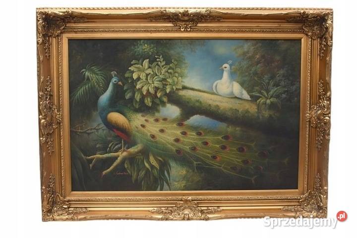Dwa Kolorowe Pawie Na Drzewie Paw Obraz Olejny małopolskie