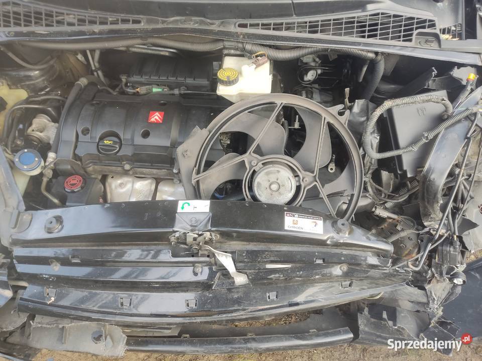 Citrone Xara picasso Rudlice