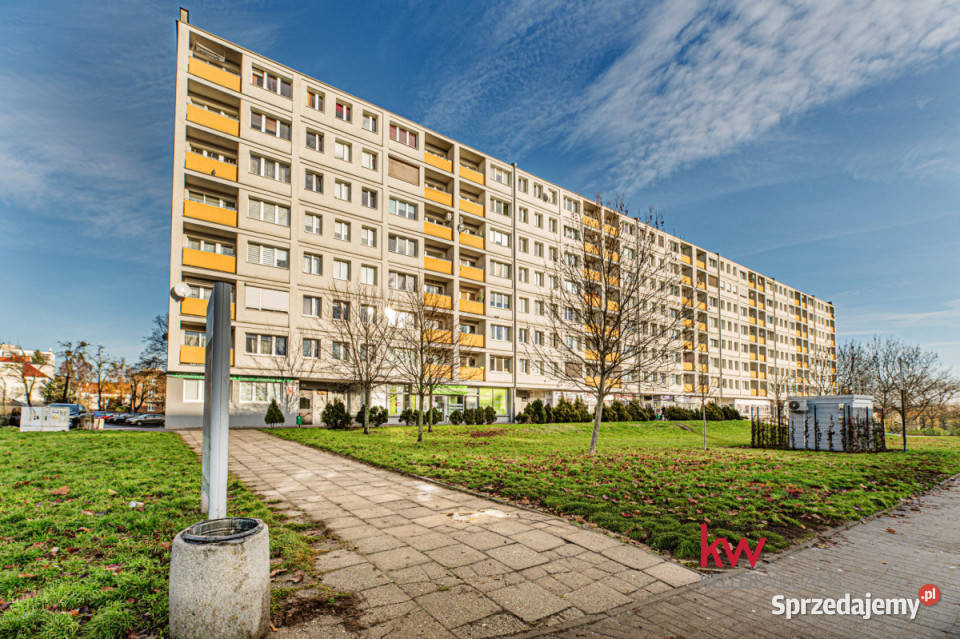 Mieszkanie 3097m2 1 pokojowe Poznań Nieruchomości