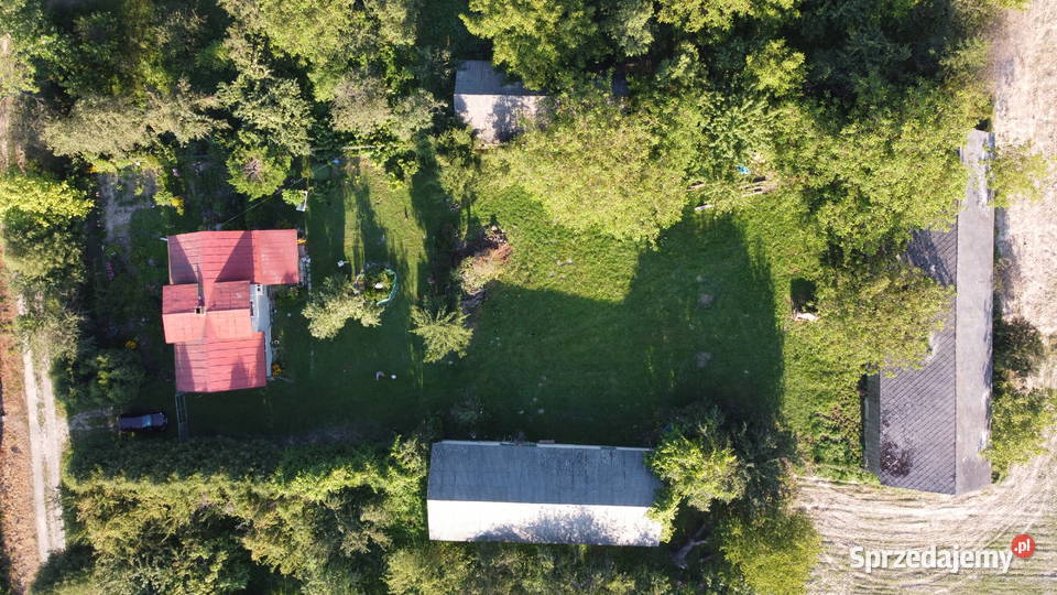 Siedlisko na sprzedaż Płonka