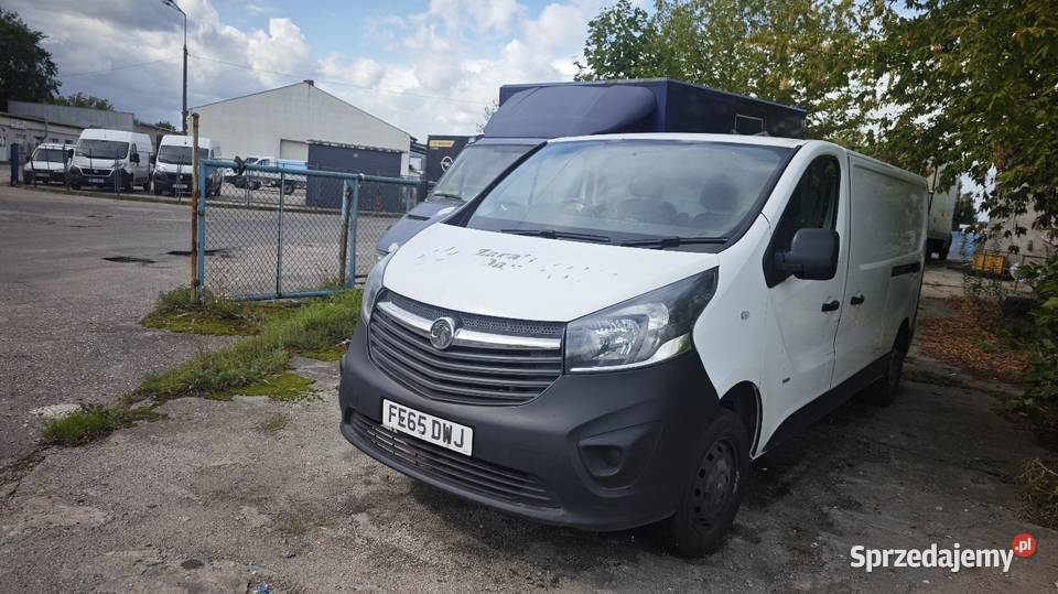 Opel Vivaro Anglik Bez silnika kujawsko-pomorskie